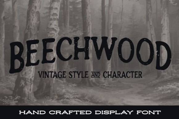 Beechwood: A Serif Font That Elevates Campaign Design