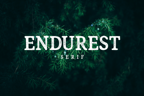 Endurest: A Serif Font for Timeless Editorial Design