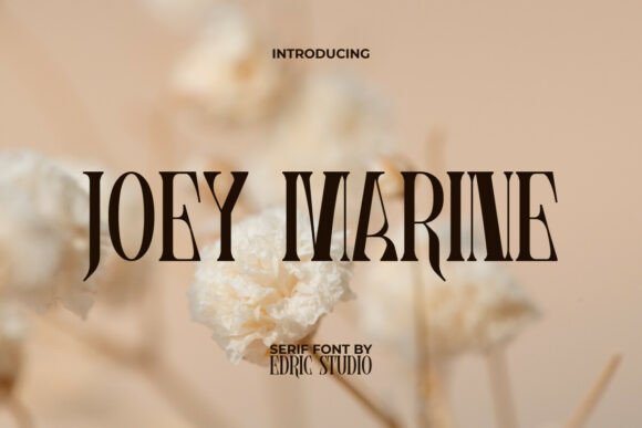 Joeymarine for Campaign Clarity and Class